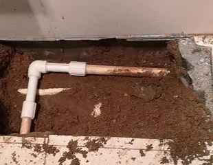 雁峰测漏水哪家好