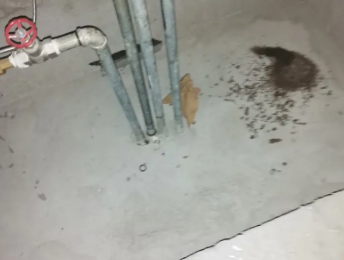 雁峰卫生间测漏水价格明细