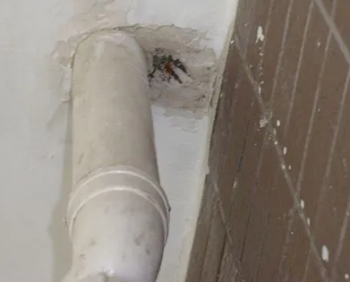 雁峰漏水检测哪家好